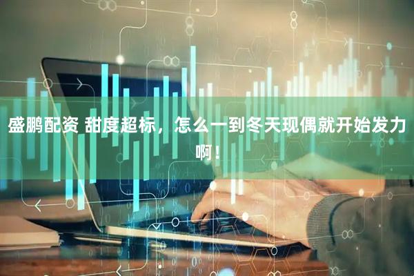 盛鹏配资 甜度超标，怎么一到冬天现偶就开始发力啊！